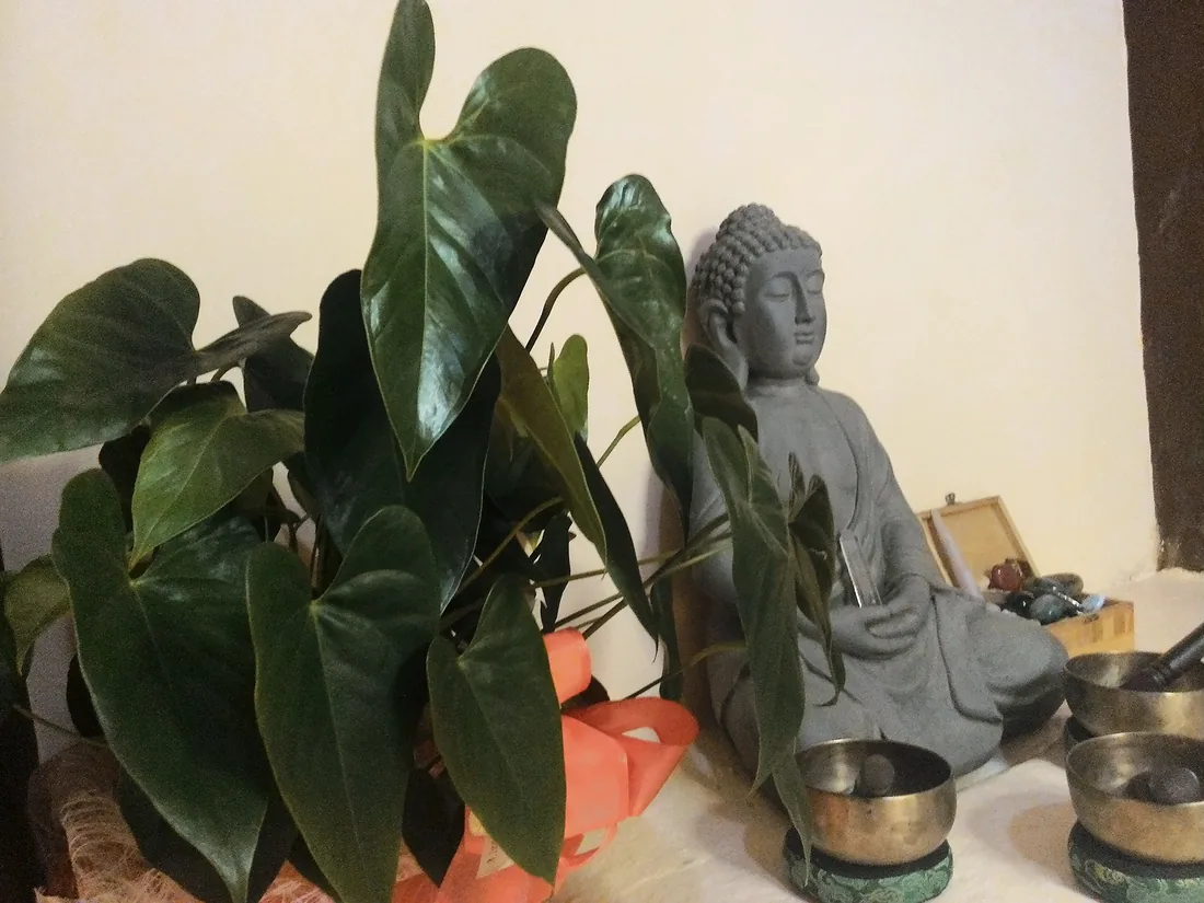 Piante, statua e campane nello studio AuraSpei